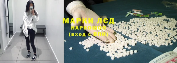 спиды Аркадак